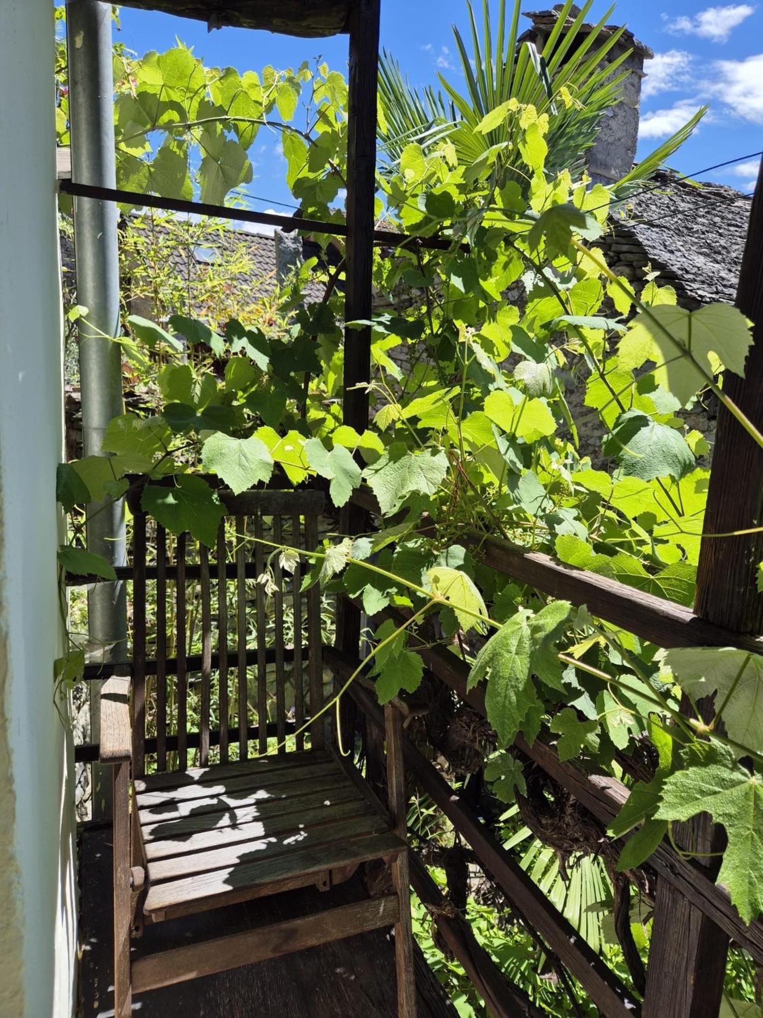 格里利诺之家公寓 洛迦诺 客房 照片