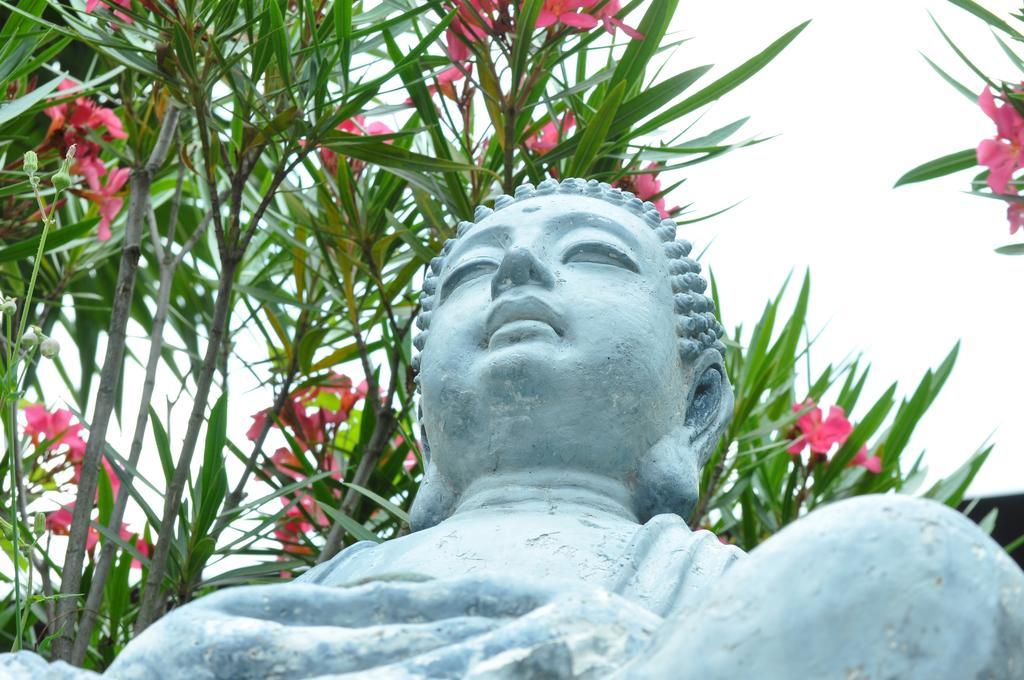 格里利诺之家公寓 洛迦诺 外观 照片